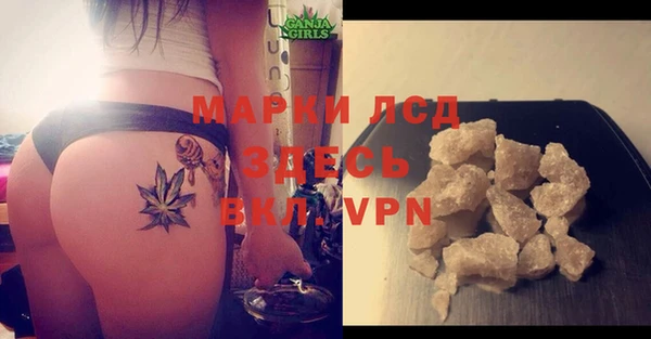 крисы Армянск