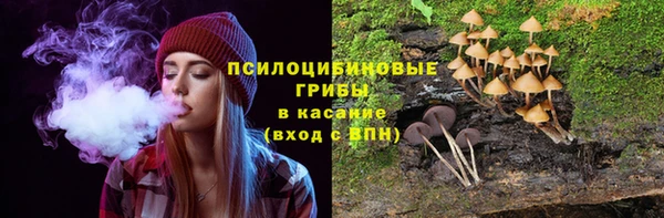 эйфоретик Осинники