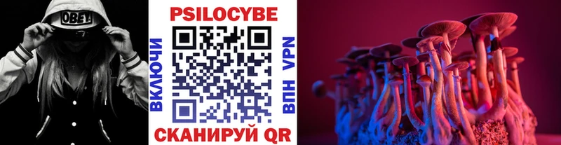 Псилоцибиновые грибы Psilocybe Моршанск